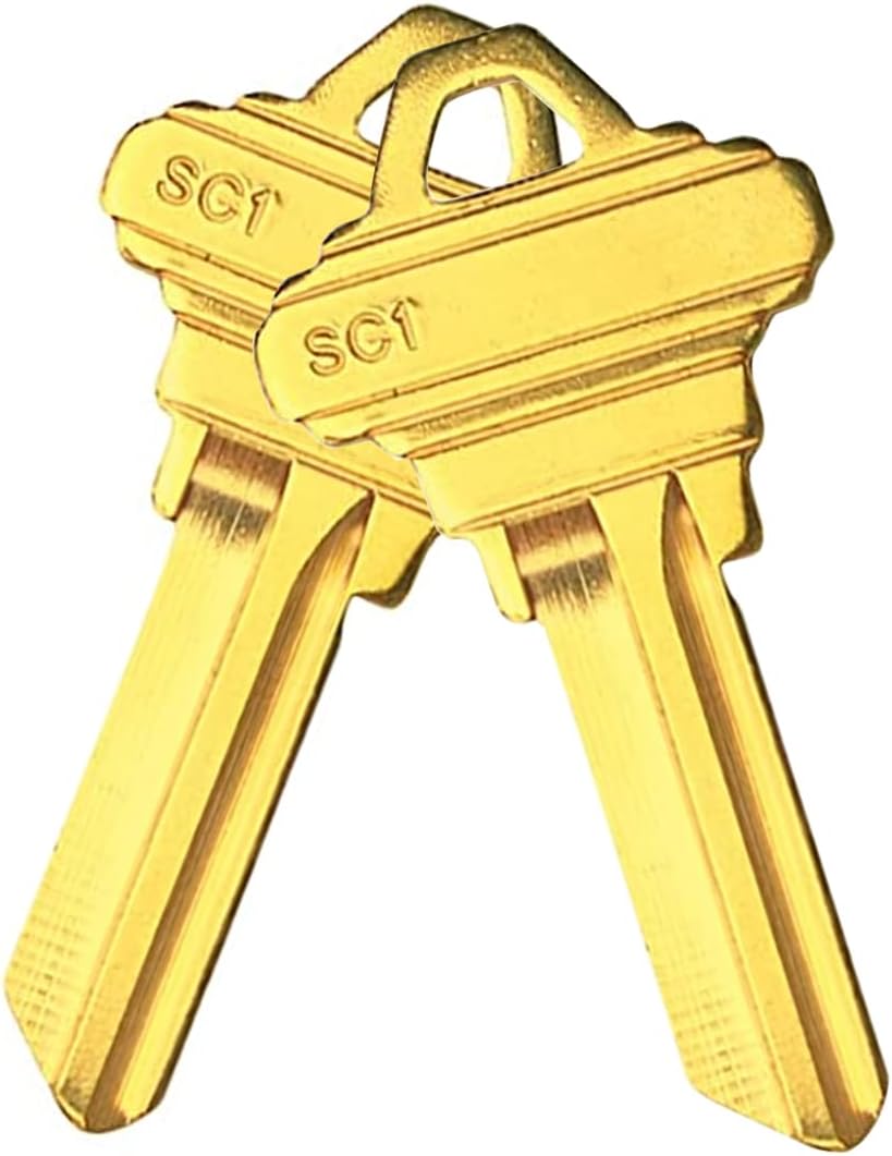 100 Count SC-1 Schlage Uncut Key Blanks for Home-Landlords-Property managers