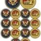 16 Pack 250th Anniversary of Independence Eagle Coin USA 250 Years