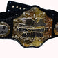 TNA Heavyweight Champion Replica Belt