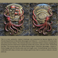 Tampa Bay Florida Dept. of Alcoholic Beverages & Tobacco – Special Agent Challenge Coin – RARE Kraken Pirate Design