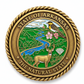 Arkansas State Challenge Coin - Fresh Start