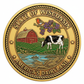 Wisconsin State Challenge Coin - Antique Gold